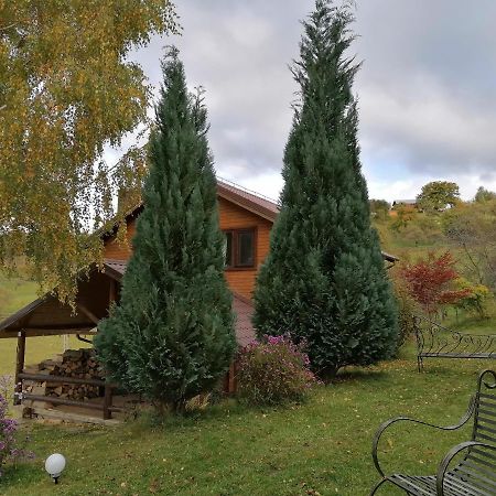 Вілла Casa Zara Бран Екстер'єр фото