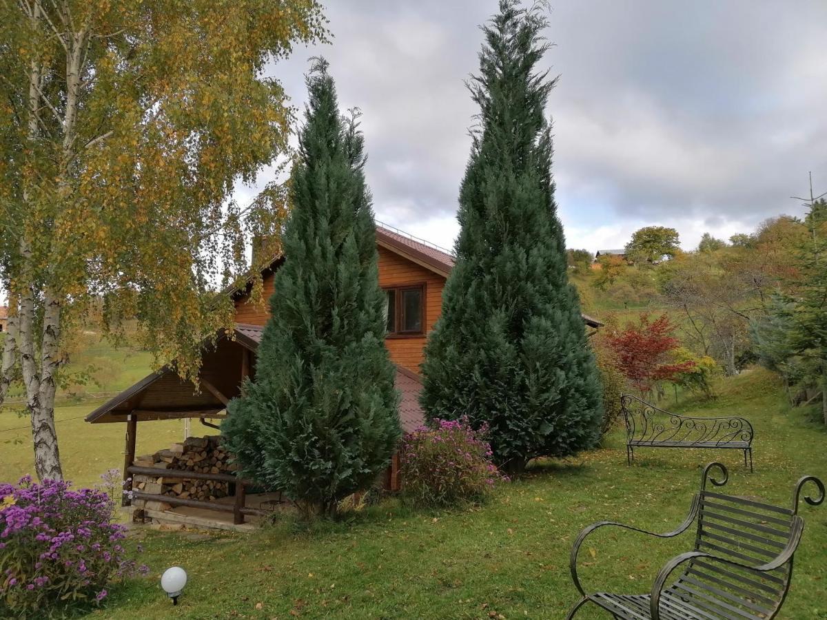 Вілла Casa Zara Бран Екстер'єр фото