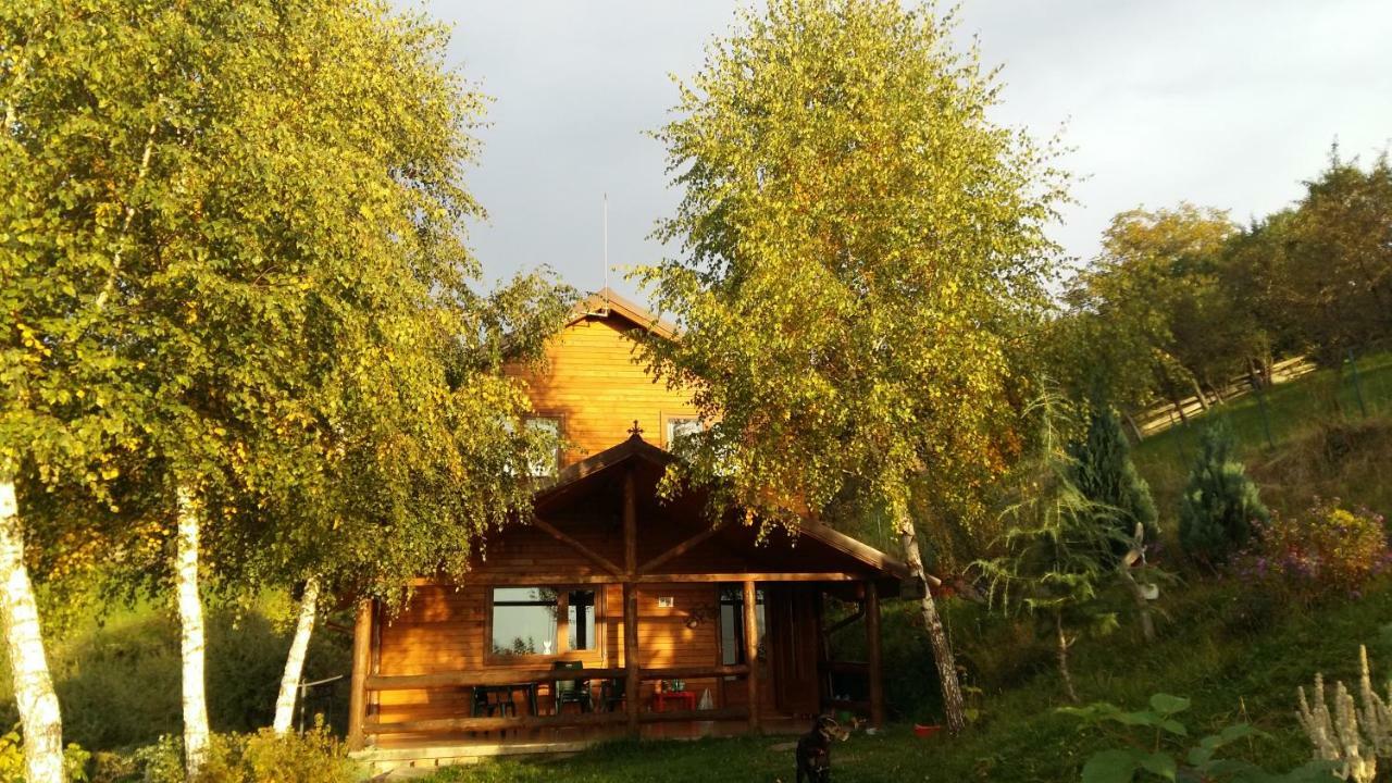 Вілла Casa Zara Бран Екстер'єр фото